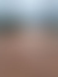 โครงการ ปรับภูมิทัศน์ เทศบาลอำเภอท่ายาง