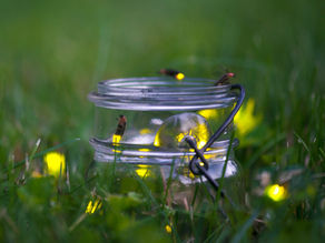 Finding Fireflies in My Fifties: Hope, Inspiration, and Curiosity After 50