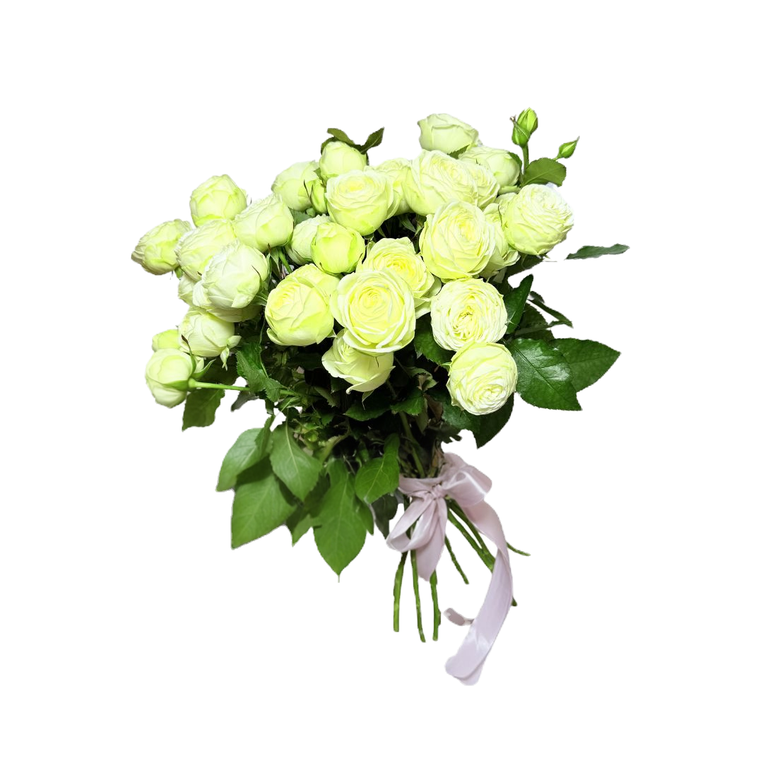 Кущова троянда Сноу Волд