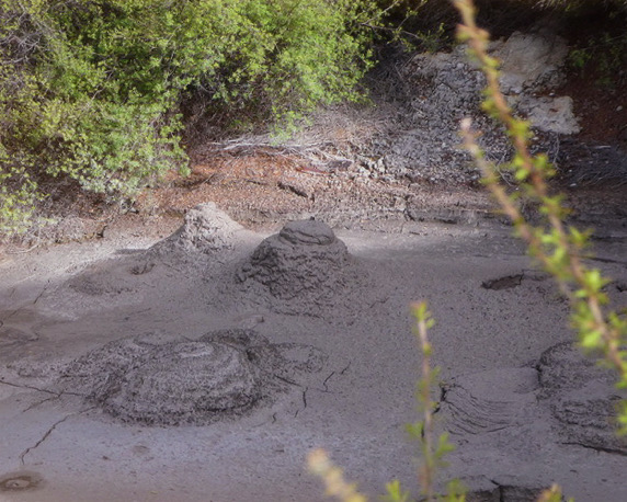 Boiling mud in Whakarewarewa village. living maori thermal village. extremely hot mud. photo of the town and village. go on a maori culture tour and explore the town. travel guide and photography. See the Rotorua hot springs and Rotorua Geyser in Whakarewarewa.