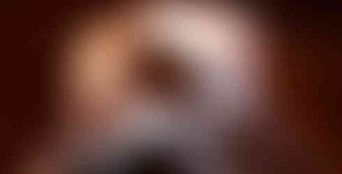 one day tour guide for page arizona, southwestern roadtrip through the us, what to do in page arizona, upper antelope canyon photos, upper antelope canyon pinterest, navajo nation upper antelope canyon, adventurous antelope canyon tours upper antelope canyon, walking tour through atnelope canyon, cool rock formations upper antelope canyon, bear climbing out of canyon