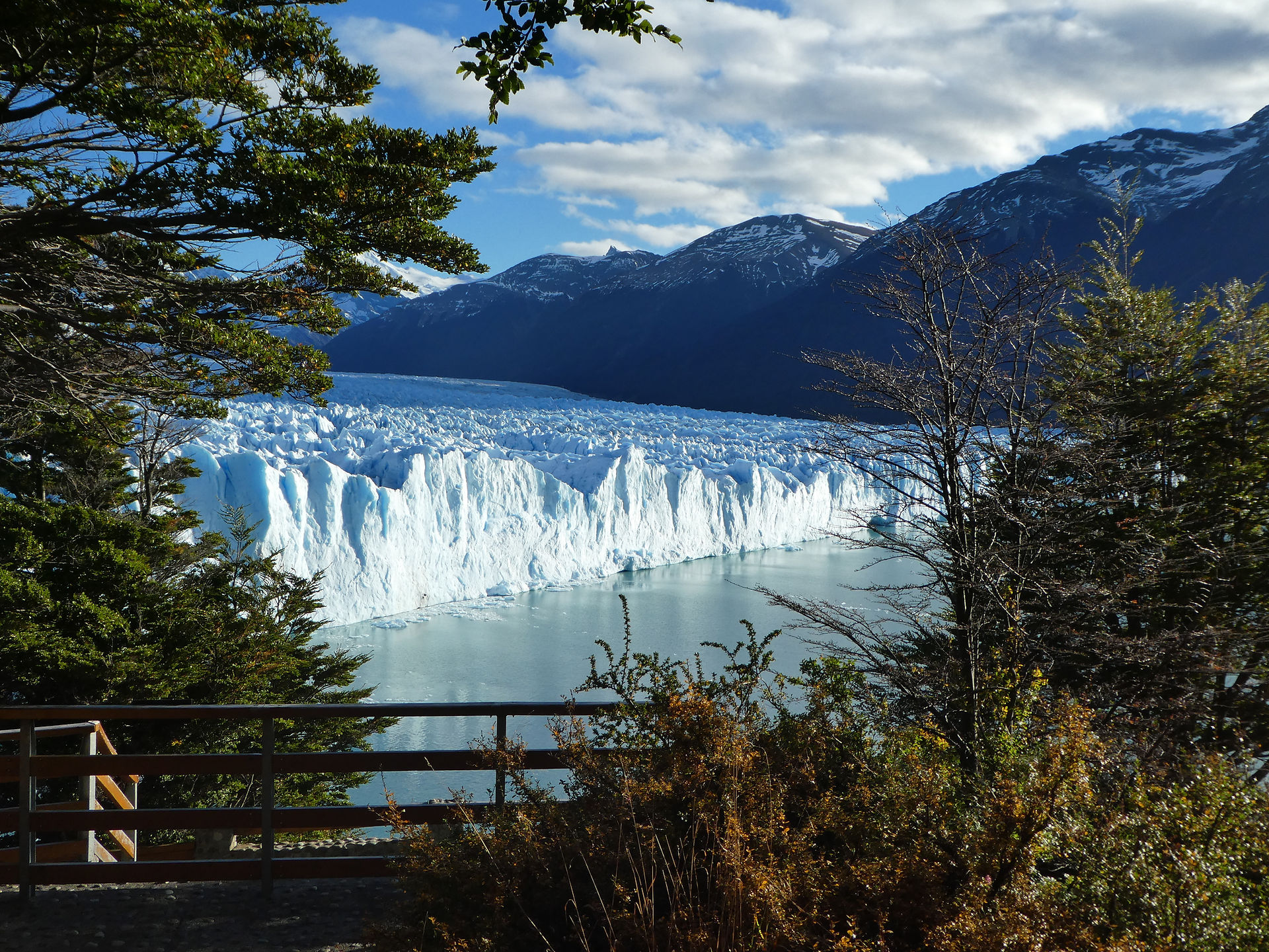 El Perito Moreno Glacier in los glaciares national park near el calafate in pataonian argentina and santa cruz argentina. advaning glacier and photo of iceberg calving off of perito moreno glacier. centered with trees