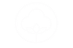 Divamore Soft Cotton Icon