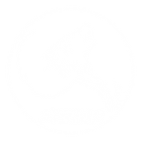 Saint-Loubès Handball.png