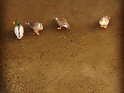 法律を学ぶことについて