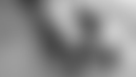 老いは病気なのか?アルツハイマーという病気と老い