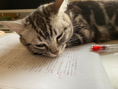 国語共通テストの目指すところを考えてみるー大学への接続としての表現能力