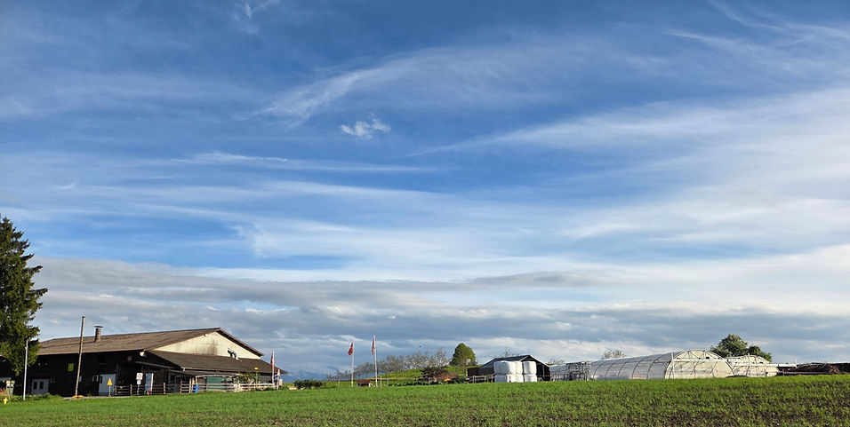 Bild_Betrieb.jpg
