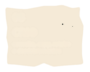 bullet 3.png