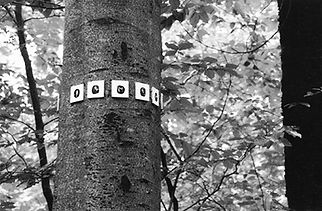 aldo caredda archives 2004 5.jpg