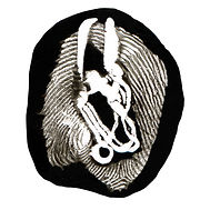 J1 aldo caredda GreetingsfromVenice empr