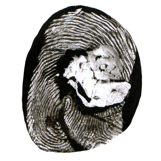 aldo-caredda-LOST4b.gif