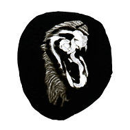 N6 aldo caredda GreetingsfromVenice empr