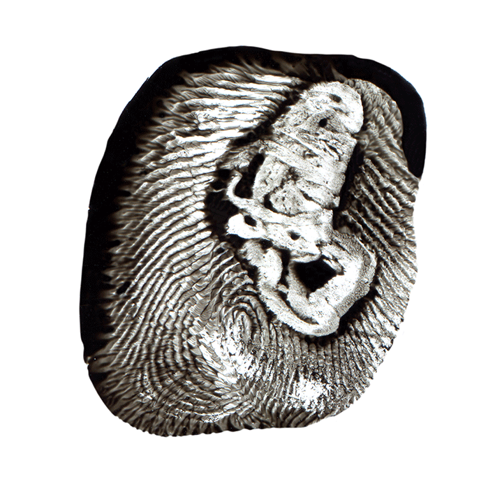 emprlost#8-copie.gif