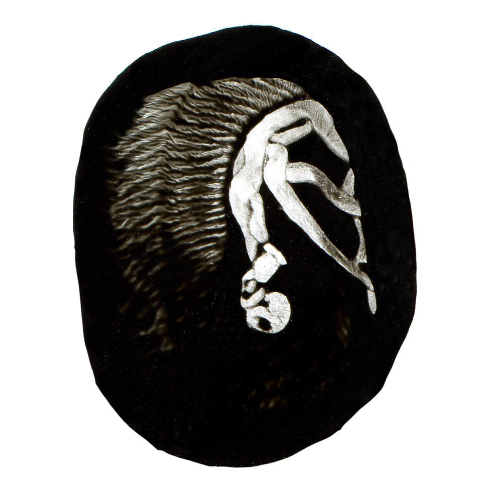 N8 aldo caredda GreetingsfromVenice empr72.jpg