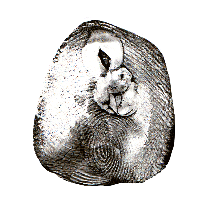 empr-LOST-jeudepaume.gif