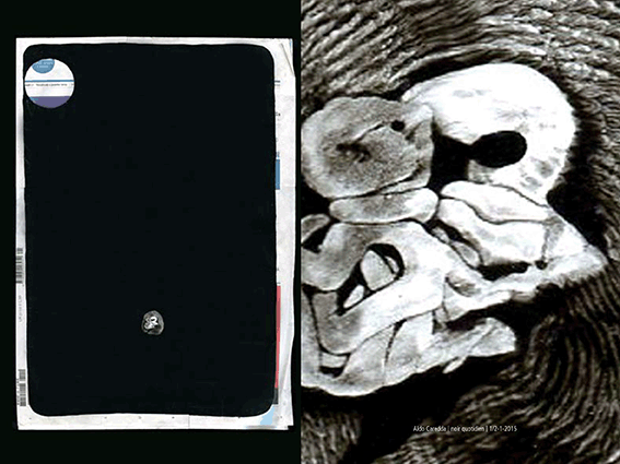 Catalogue-Aldo-NoirQuotidien6mois-1-3.gif