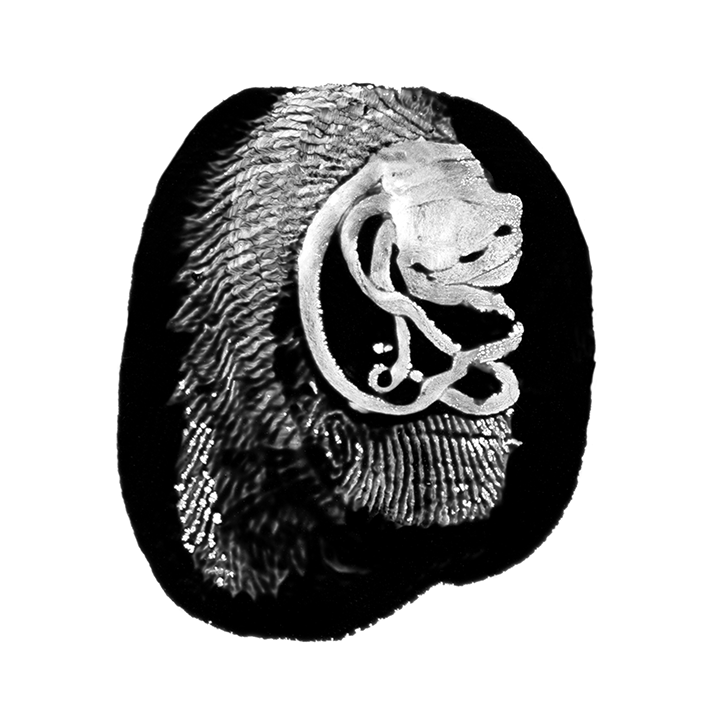 empr-#15-ok.gif