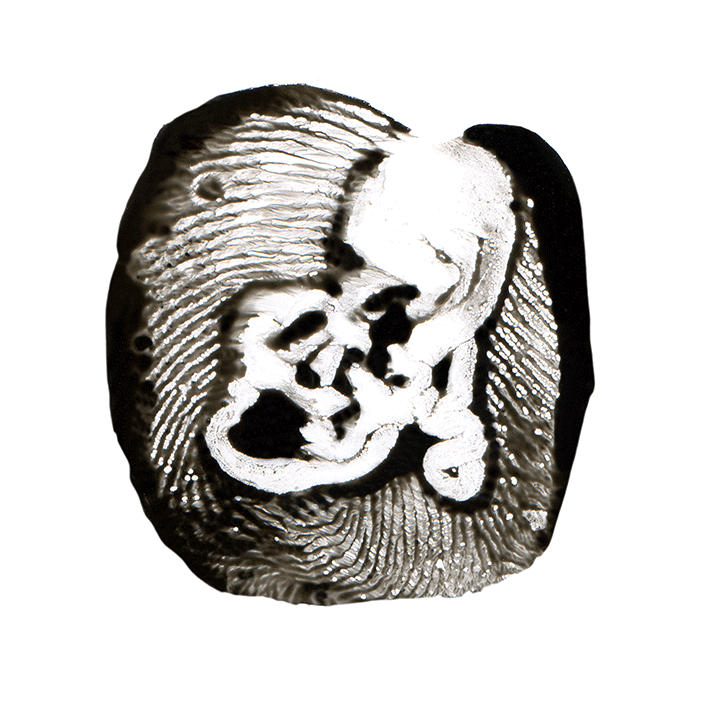 empr-LOST-vuitton2.gif