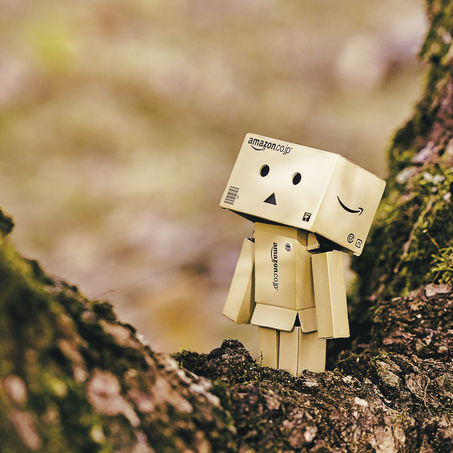 Travailler dans un centre de distribution Amazon & étudier le e-commerce 