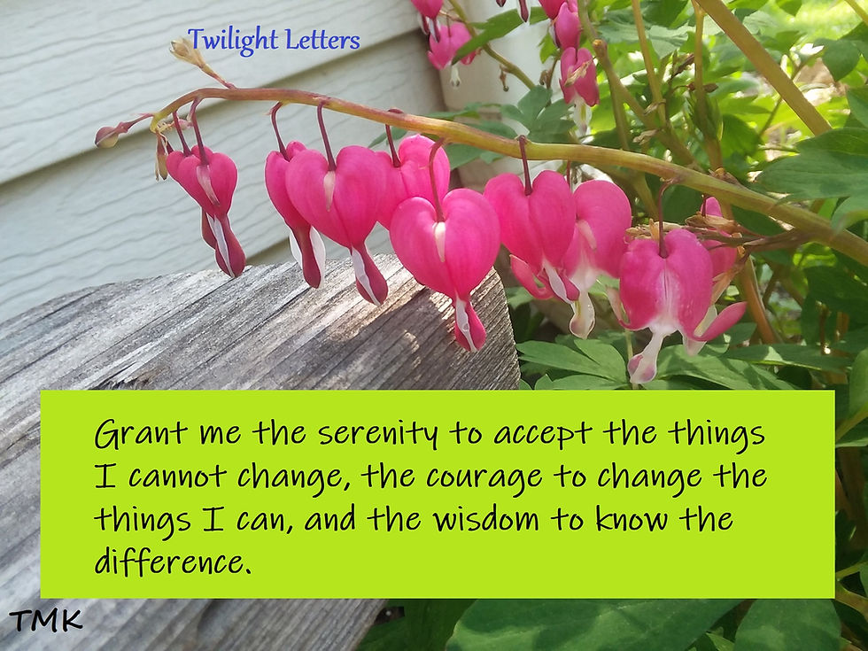 Serenity Prayer with bleeding hearts photograph