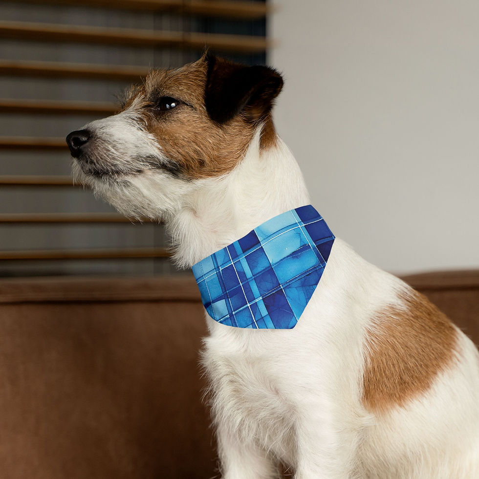 Thumbnail: Bandana Collar, Blue Pet Accessory for Fashionable Fur Babies