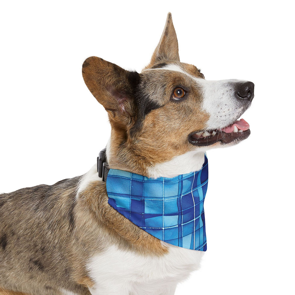 Thumbnail: Bandana Collar, Blue Pet Accessory for Fashionable Fur Babies