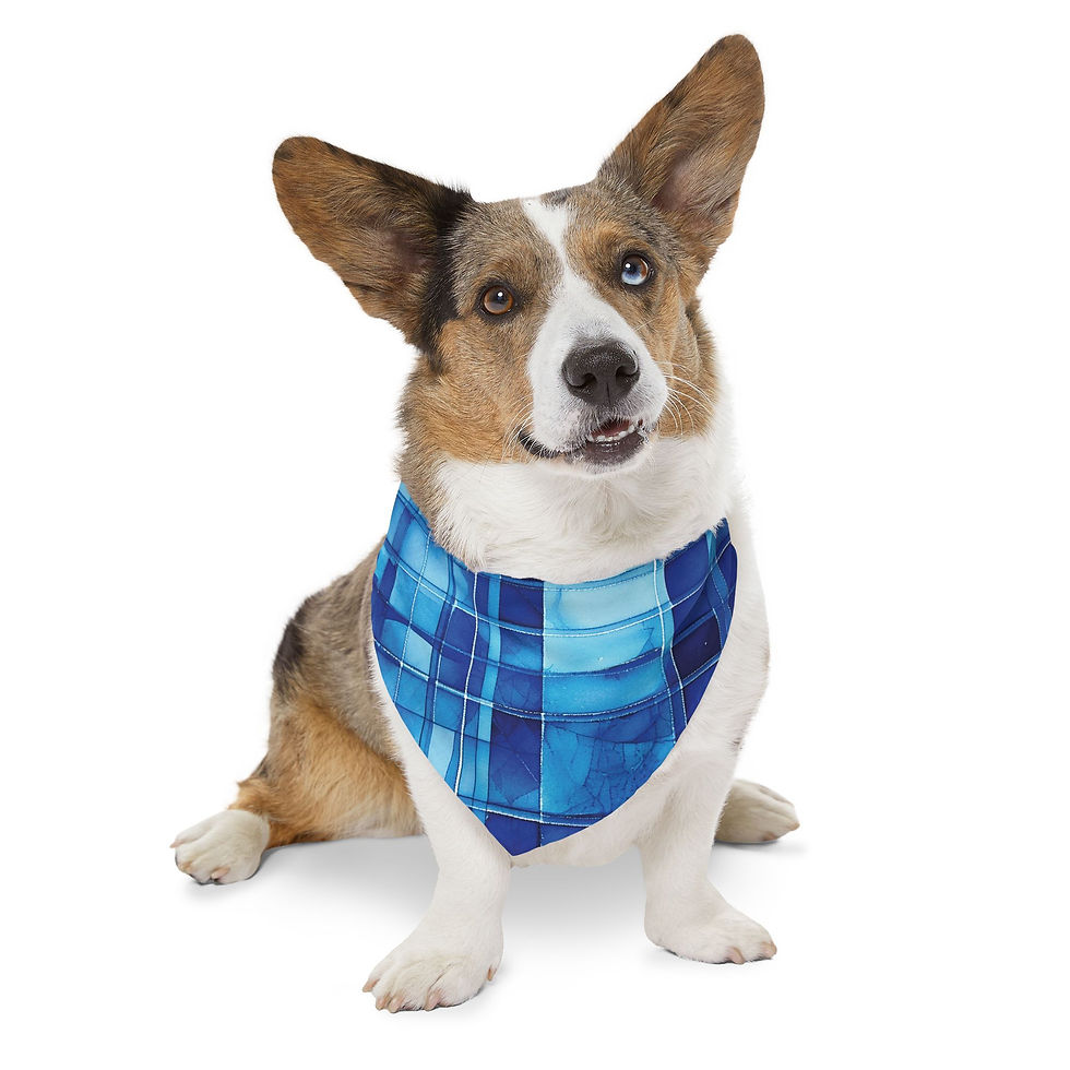 Thumbnail: Bandana Collar, Blue Pet Accessory for Fashionable Fur Babies
