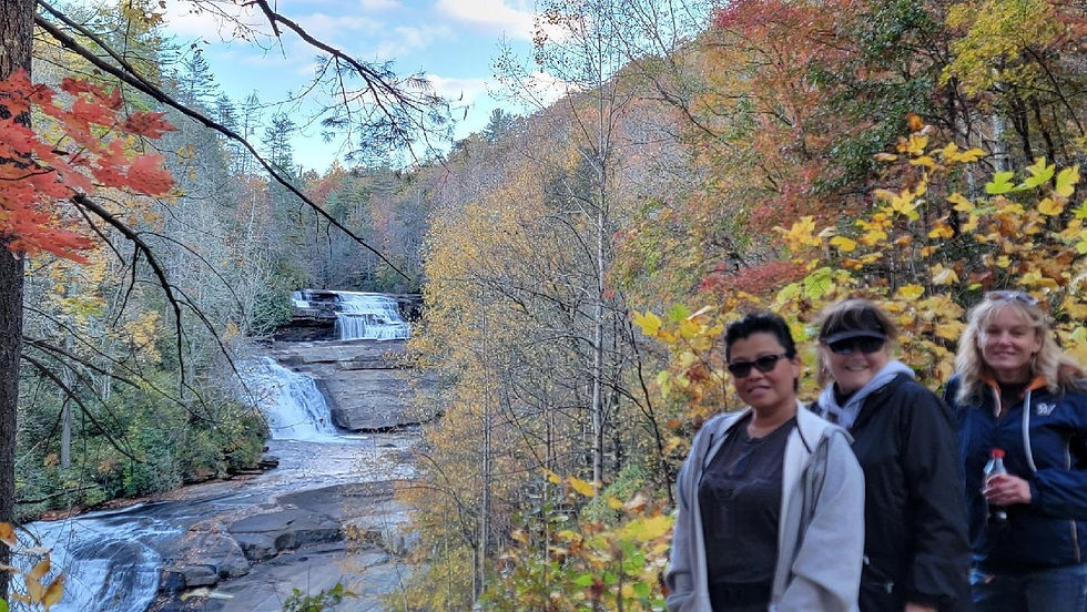 Creating Flow, Living Life on a High Frequency