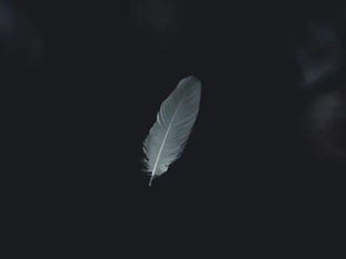 Aaron, A Short Story by Celia Blake