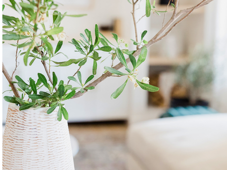 Is Your Home Making You Sick? 10 Hidden Toxins + Simple Design Fixes for a Healthier Life