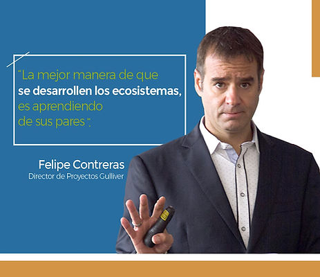 frase_felipe22de_enero_(versión1).jpg