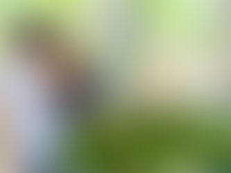 Agroindustria: el pilar en la reactivación económica