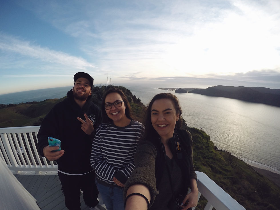 Manukau Heads Views