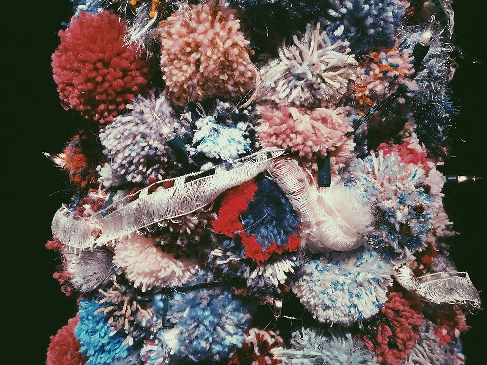 Trees at the Meteor