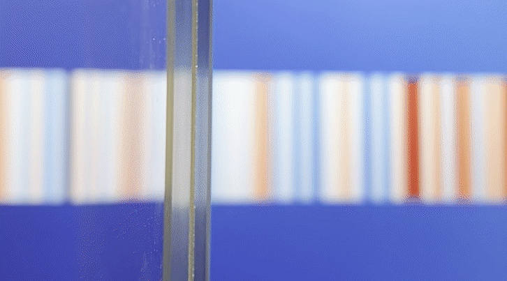 Een kort verslag van de SIPC 2022