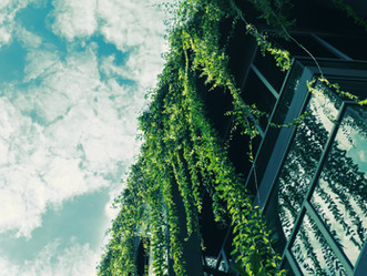 "Green go" Nouvelle plateforme d'hebergement . Une Solution alternative à Airbnb, plus écologique !