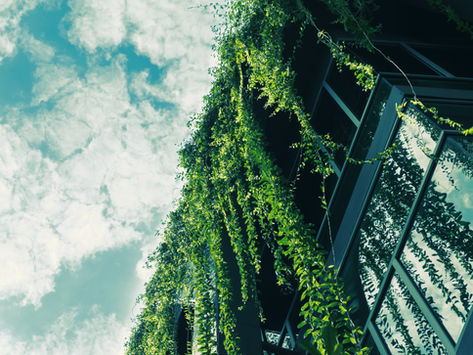 FÖST: Streit um CO2-Preis offenbart Regierungsunfähigkeit der Großen Koalition