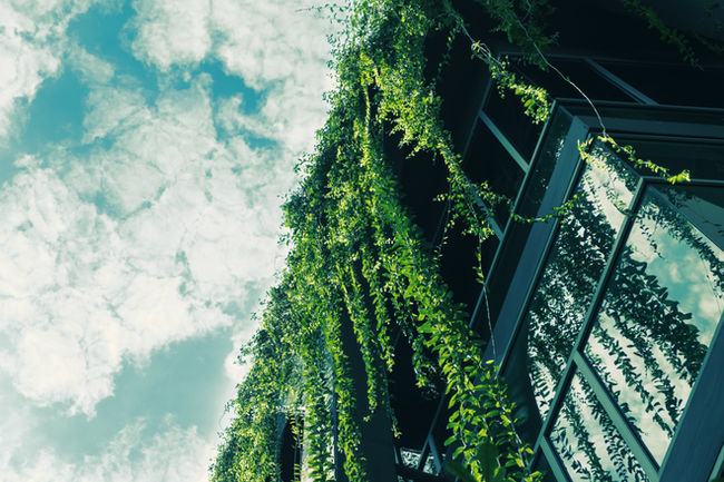 Green recovery plan for West Midlands