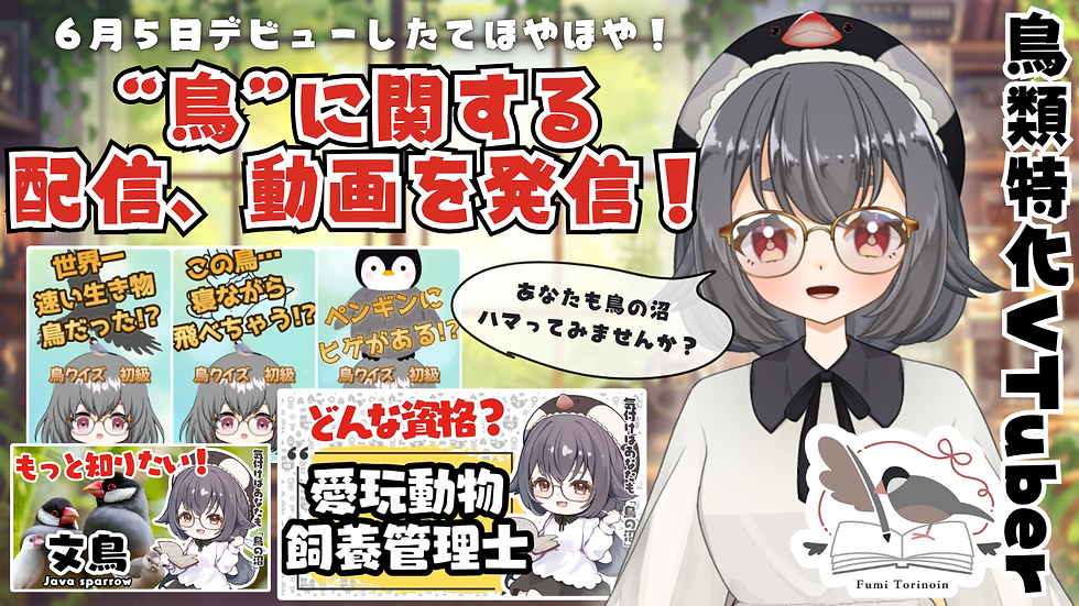 torinoin自己紹介画像 - fumi.png