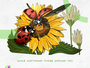 Reinvent your leadership