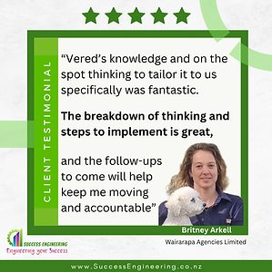 Testimonial - bRITNEY mIGHTY mIX - 90-day business planning - success engineering business coaching.png
