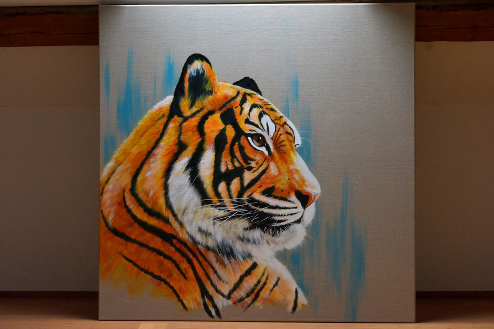 26-Tigre