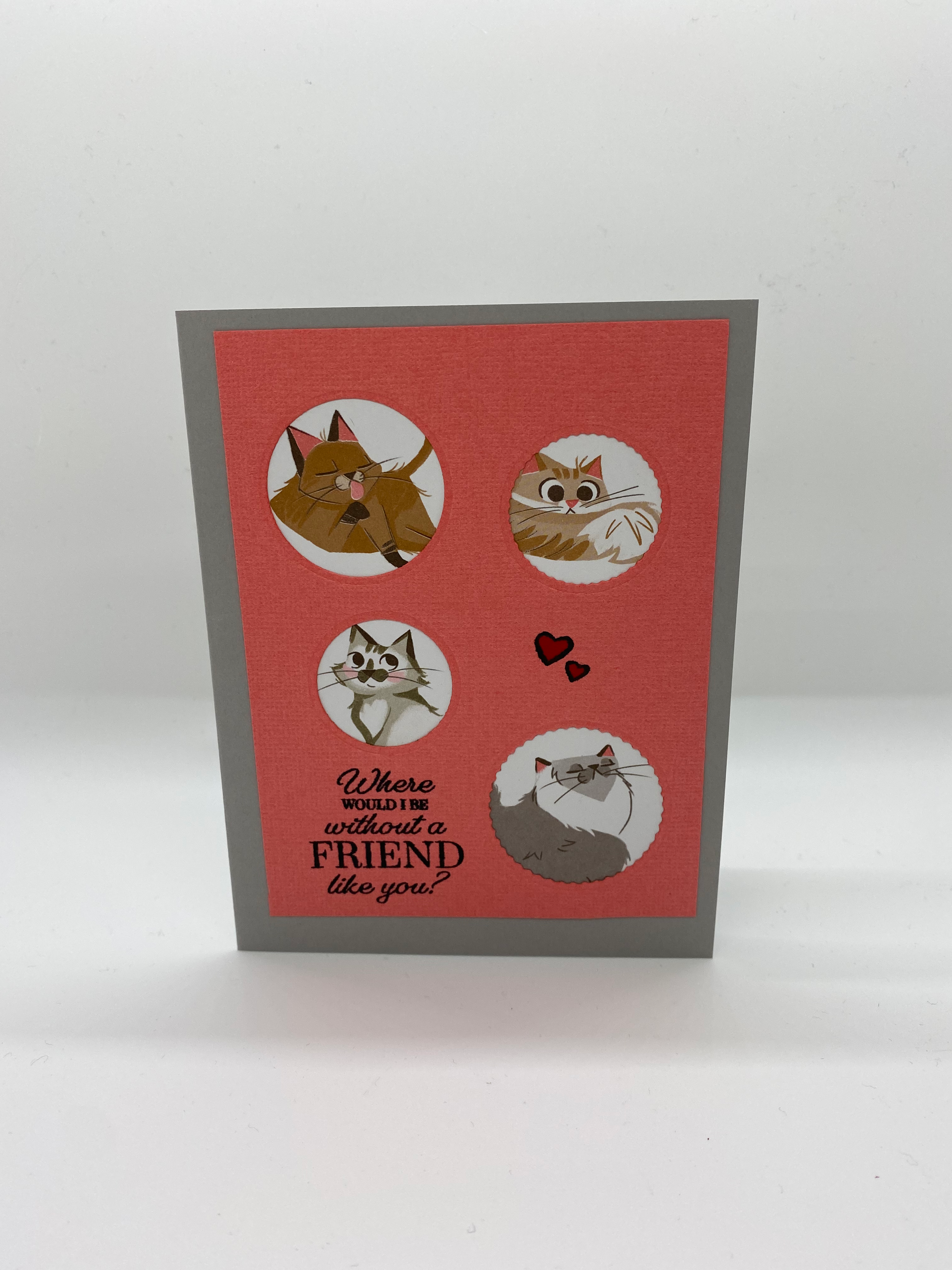 Cat Handmade Card