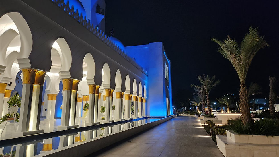 Sheikh Zayed Grand Mosque Solo