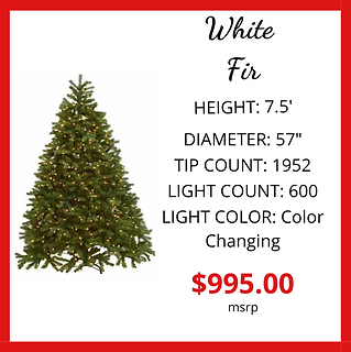 Copy of Downswept Snow Drift (3).png