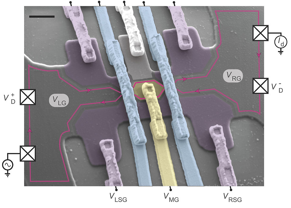Fig. 6. A device that scientists realized the braiding experiment of Abelian FQH states in graphene. Figure adopted from T. Werkmeister et al. Science 388, 6748 (2025)