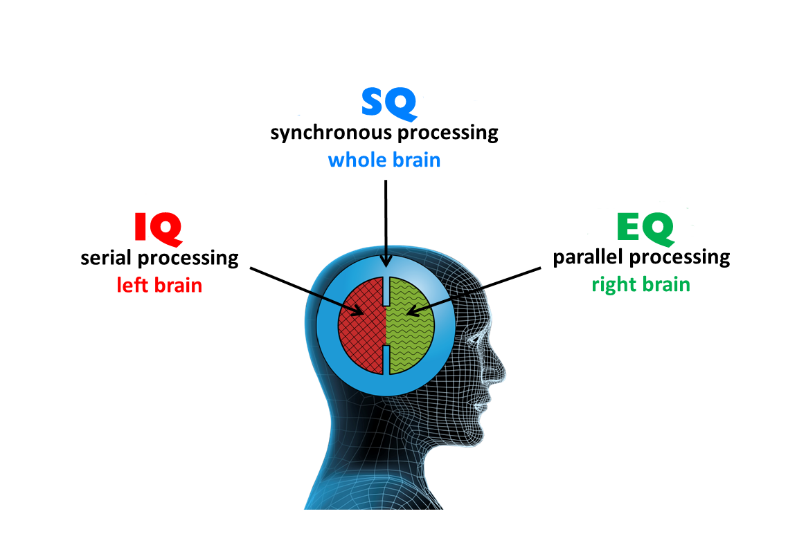 Eq vs iq cleanlasopa
