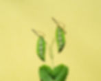 Thumbnail: Pea Pod Earrings in Small