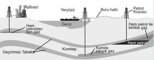 petrol oluşumu